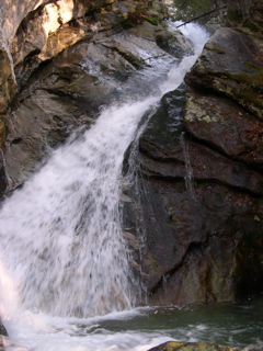 DSCN0038.JPG