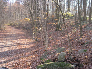 DSCN0027.JPG