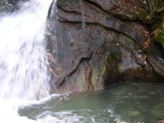 DSCN0045.JPG