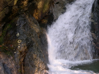 DSCN0047.JPG
