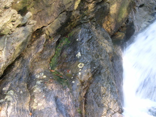 DSCN0048.JPG