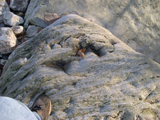 DSCN0052.JPG