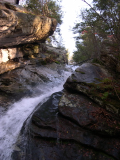 DSCN0030.JPG