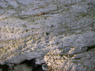 DSCN0031.JPG