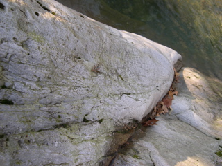 DSCN0033.JPG
