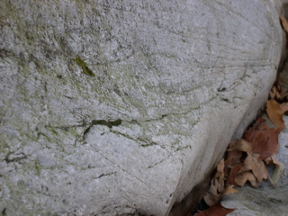 DSCN0034.JPG