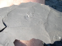 DSCN1068.JPG