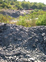 DSCN1069.JPG