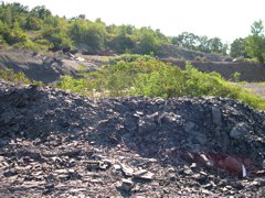 DSCN1070.JPG