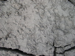 DSCN1055.JPG