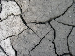 DSCN1056.JPG