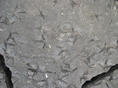 DSCN1058.JPG