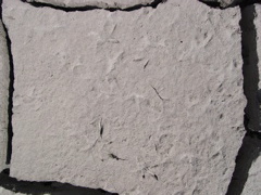 DSCN1059.JPG