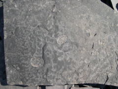DSCN1066.JPG