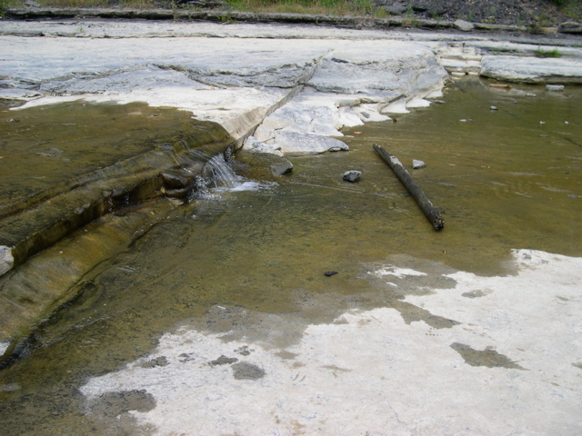 DSCN0955.JPG