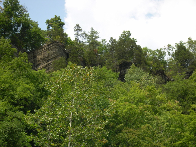 DSCN0960.JPG