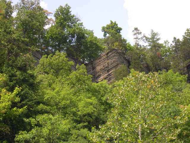 DSCN0961.JPG