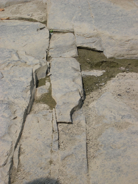 DSCN0962.JPG