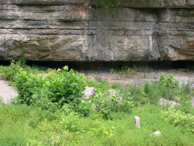 DSCN0935.JPG