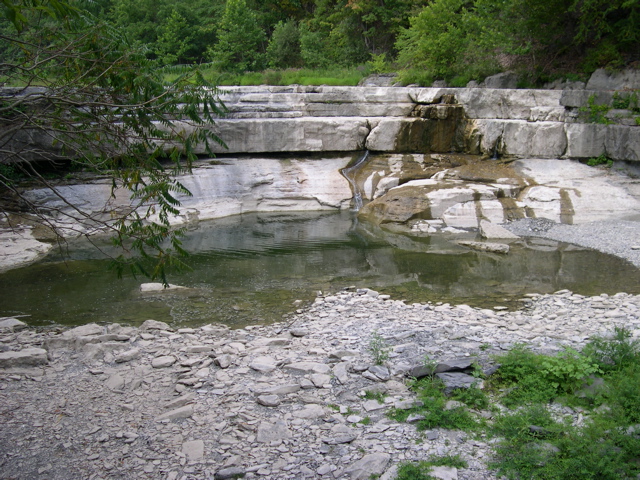 DSCN0936.JPG