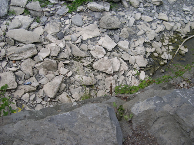 DSCN0937.JPG