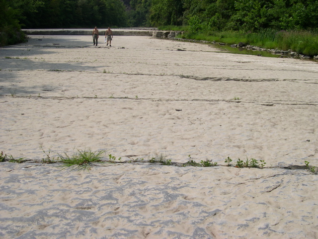 DSCN0939.JPG