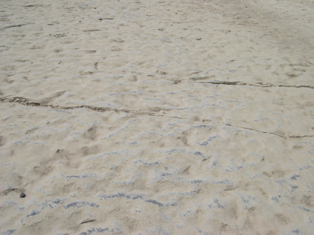 DSCN0941.JPG