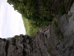 DSCN1036.JPG
