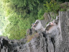 DSCN1037.JPG