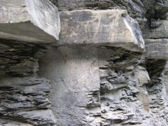 DSCN1042.JPG
