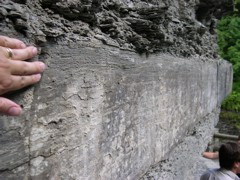 DSCN1044.JPG