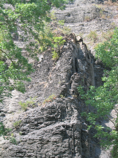 IMG_3566.JPG