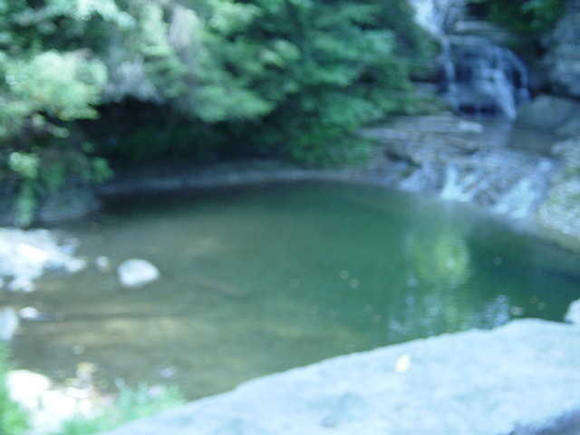 DSC03901
