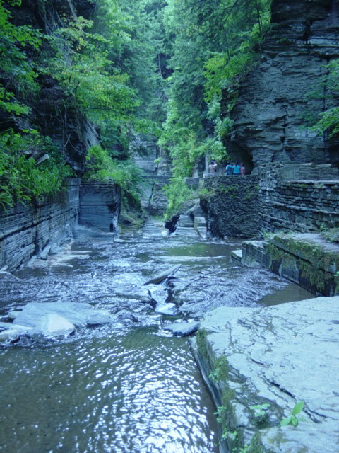 DSC03903