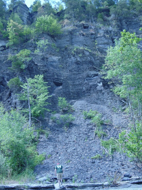DSC03884