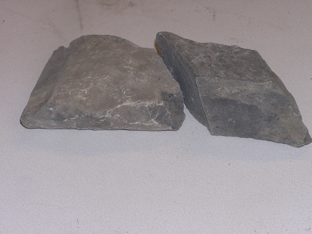 P1010003.JPG