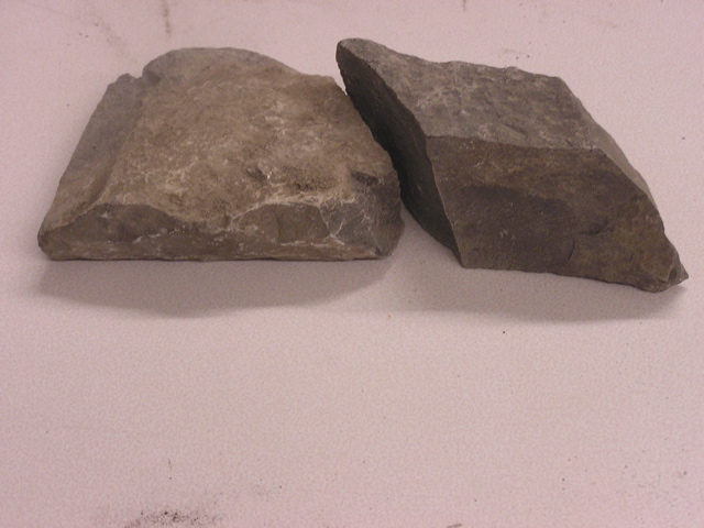 P1010004.JPG