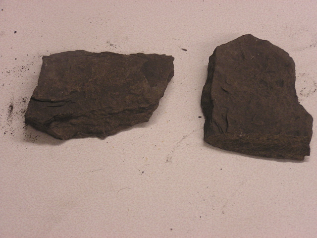 P1010006.JPG