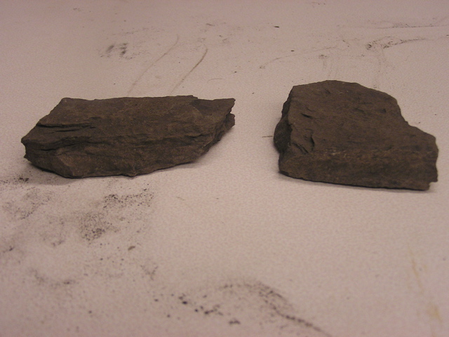 P1010007.JPG