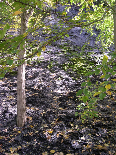 DSCN0059.JPG