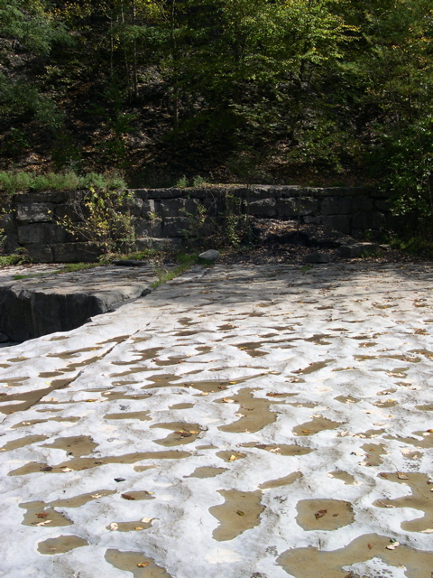 DSCN0069.JPG