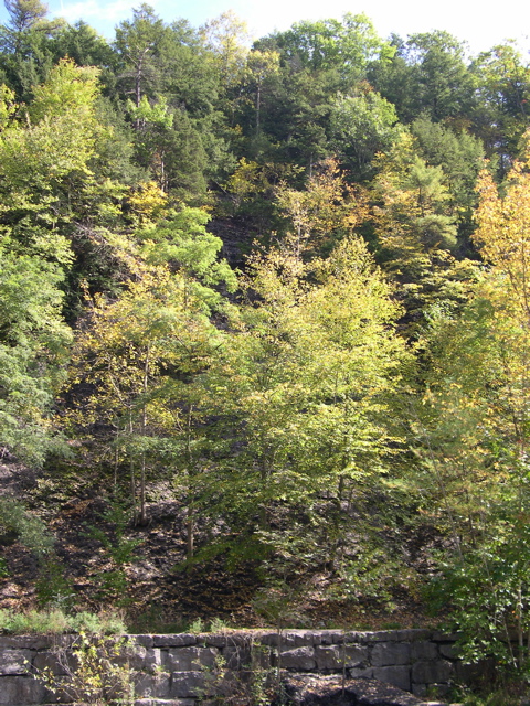DSCN0071.JPG