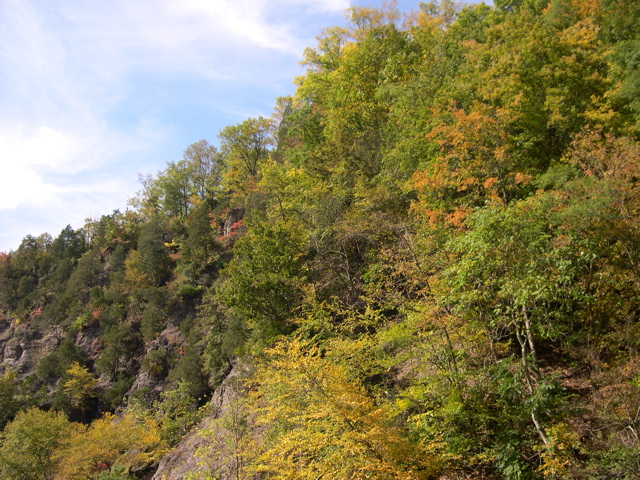 DSCN0077.JPG