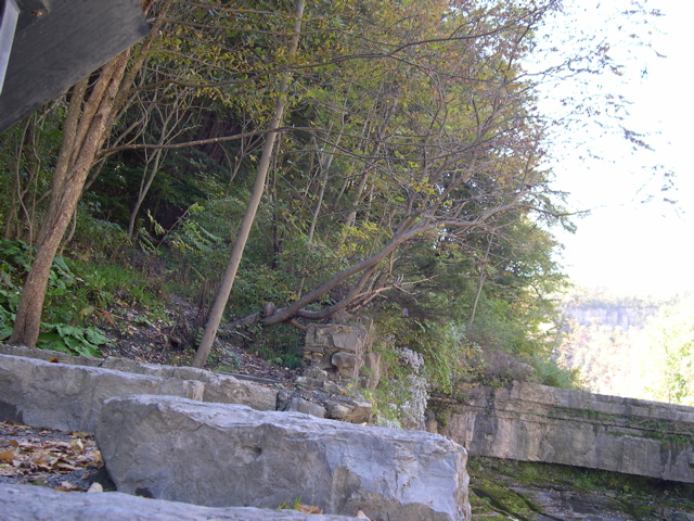 DSCN0050.JPG