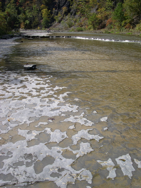 DSCN0089.JPG