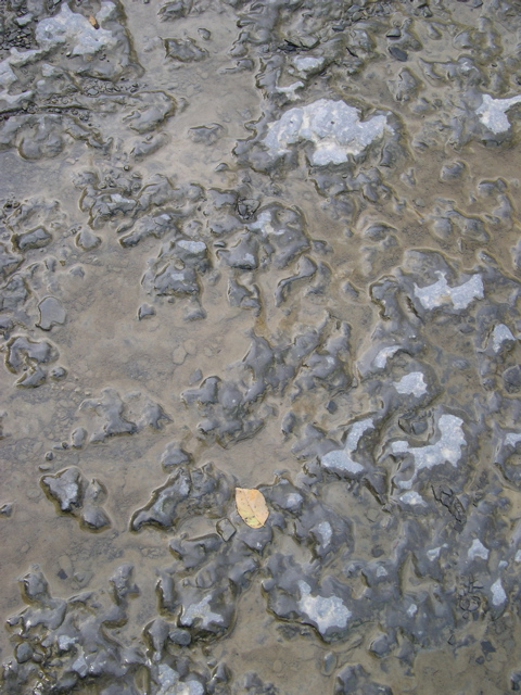 DSCN0094.JPG