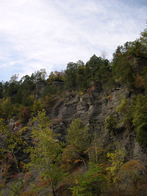 DSCN0100.JPG