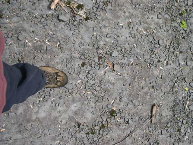 the floor.JPG