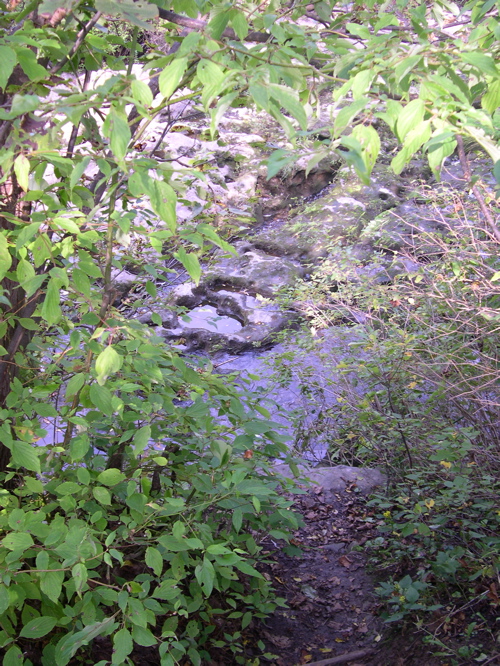 DSCN0003.JPG