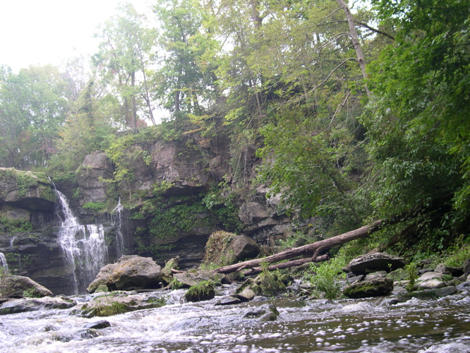 DSCN0110.JPG